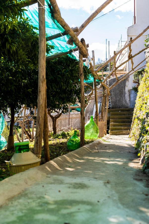 Casa Primula Villa Amalfi Dış mekan fotoğraf