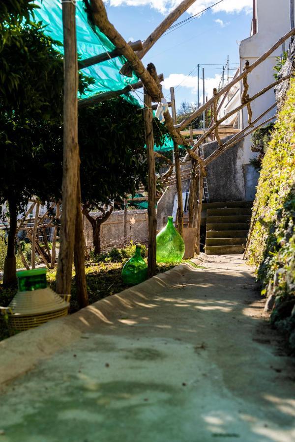Casa Primula Villa Amalfi Dış mekan fotoğraf